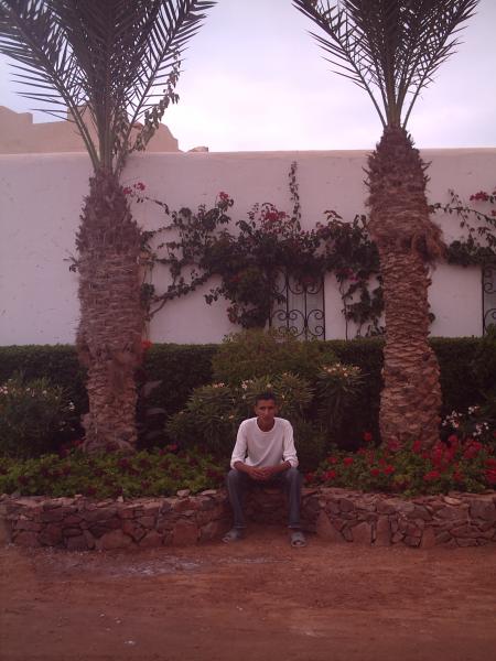ahmed-4003@hotmail.com